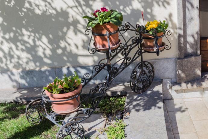 B&B Il Belvedere Витербо Екстериор снимка